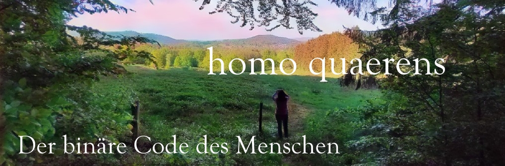 homo quaerens - Der binäre Code des Menschen